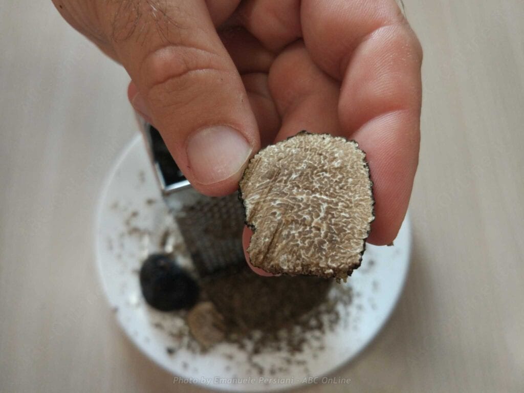 summer truffle price